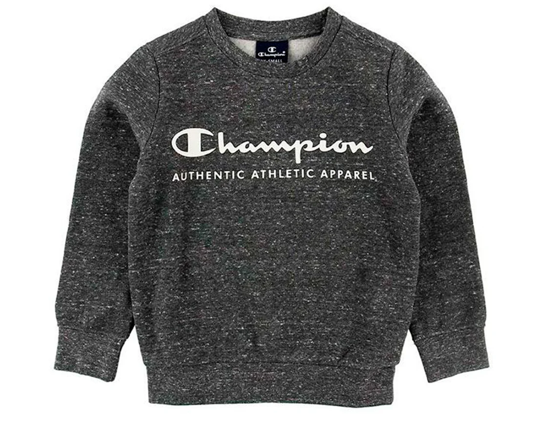 Champion Sweatshirt Crewneck