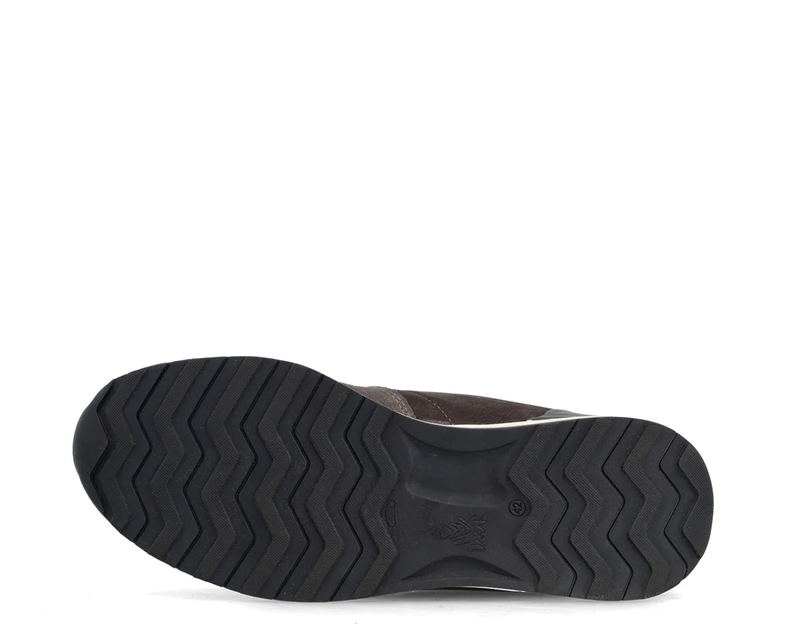Dakar Neom - Image 4