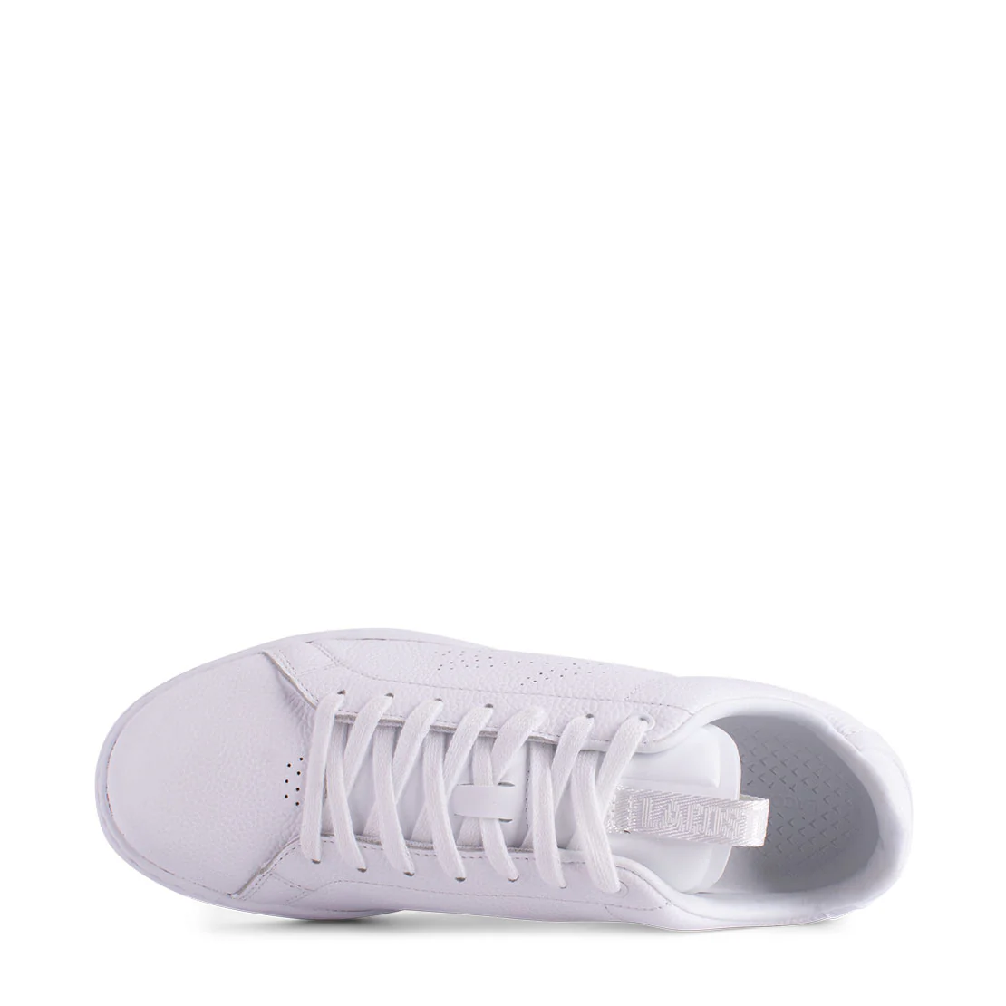 Lacoste Carnaby Evo - Image 3