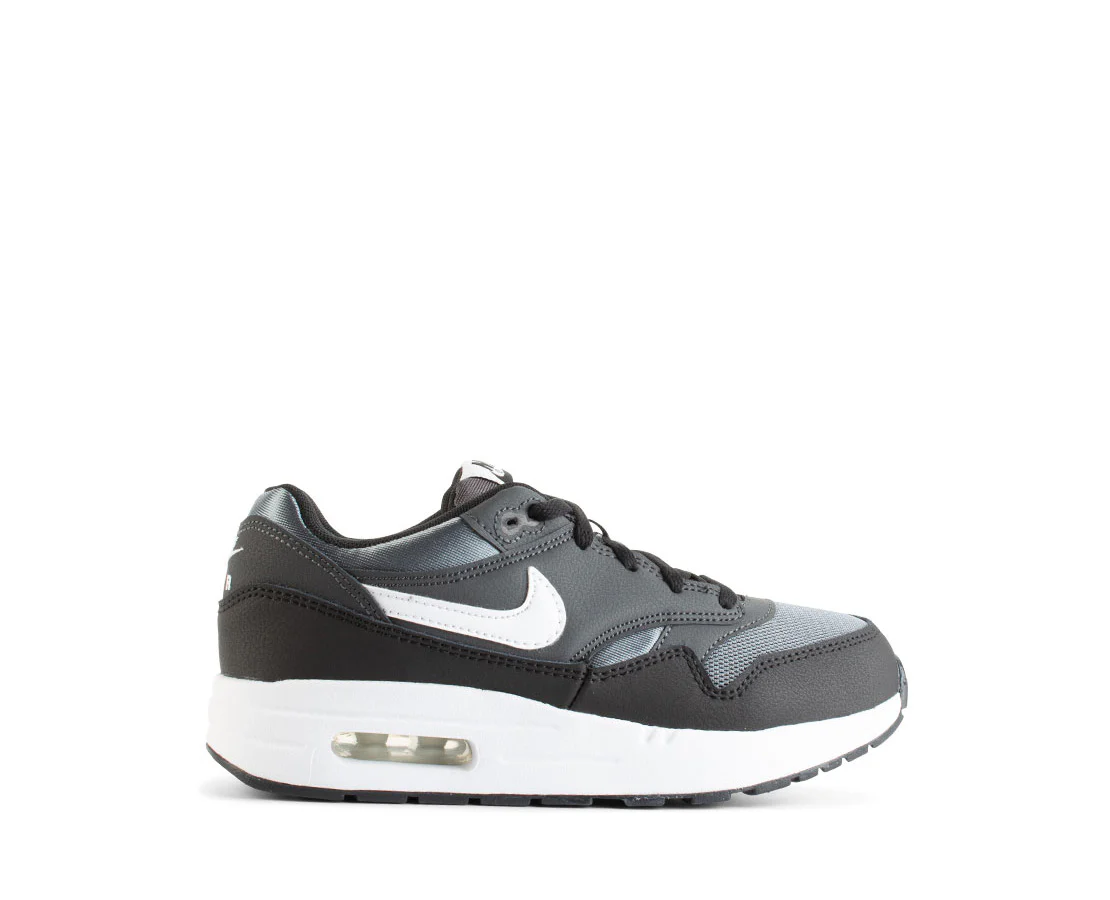 Nike Air Max 1